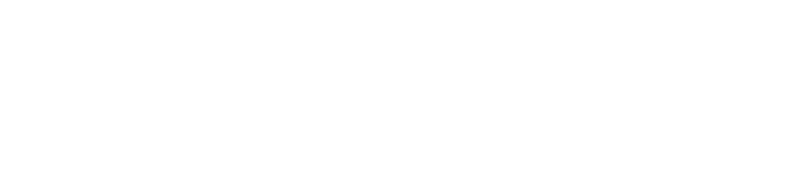 Rocket Visa logos - landscape - white